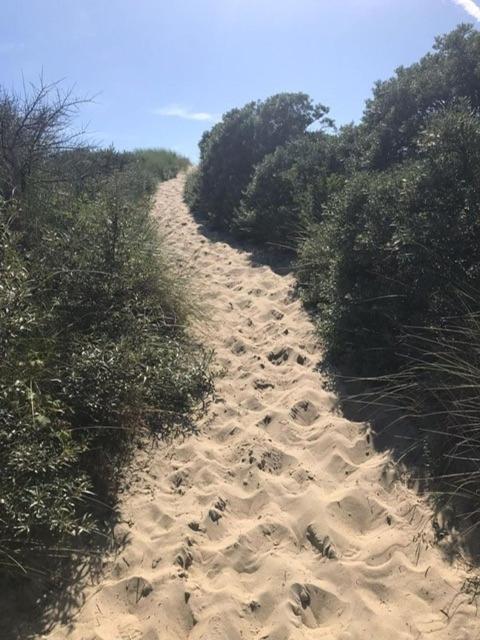 Duinstrand Burgh-Haamstede Exterior foto